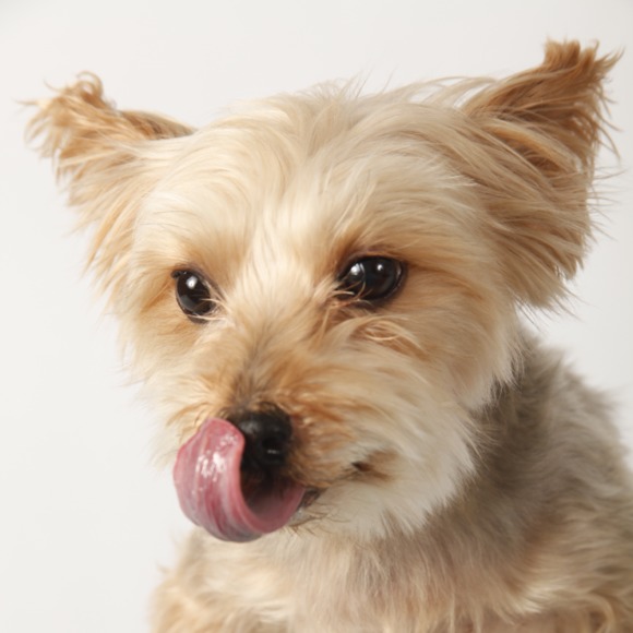 Meet your Posher, Marc - Picture 1 of 3